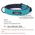 Personalized Adjustable Dog Collars - ExponentStore