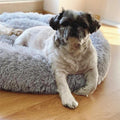 Long Plush Super Soft Dog Bed Pet Kennel Round Sleeping Bag Lounger Cat House Winter Warm Sofa Basket for Small Medium Large Dog - ExponentStore