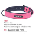 Personalized Adjustable Dog Collars - ExponentStore