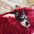Long Plush Super Soft Dog Bed Pet Kennel Round Sleeping Bag Lounger Cat House Winter Warm Sofa Basket for Small Medium Large Dog - ExponentStore