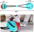Suction Cup Teeth Cleaning Dog Toy - ExponentStore
