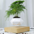 Floating plant pot