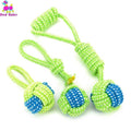 Dog Chew Toys - ExponentStore