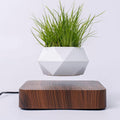 Floating plant pot