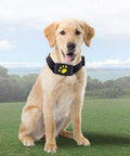 GPS Dog Collar - ExponentStore