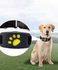GPS Dog Collar - ExponentStore