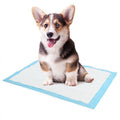 Super Absorbent Pet Diaper Dog Training Pee Pads Disposable Healthy Nappy Mat For Cats Dog Diapers Cage Mat Pet Supplies - ExponentStore