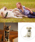 GPS Dog Collar - ExponentStore