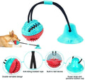 Suction Cup Teeth Cleaning Dog Toy - ExponentStore