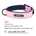 Personalized Adjustable Dog Collars - ExponentStore