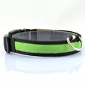 LED Light Up Dog Safety Collar - ExponentStore