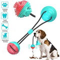 Suction Cup Teeth Cleaning Dog Toy - ExponentStore