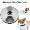 Automatic 6 Meal Feeding Pet Disk - ExponentStore
