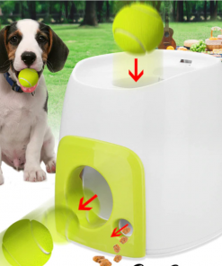 Ball Launching Automatic Dog Toy - ExponentStore