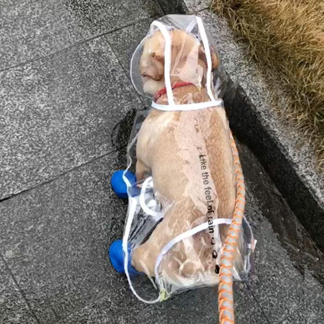 HOOPET Small Dog Raincoat - ExponentStore