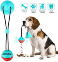 Suction Cup Teeth Cleaning Dog Toy - ExponentStore