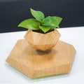 Wood Grain Floating Plant Pot - ExponentStore