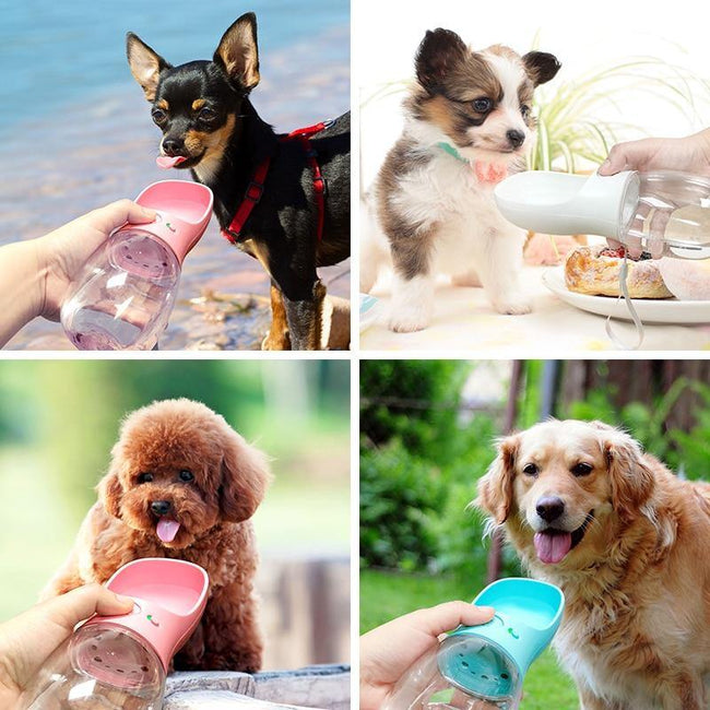 Portable Pet Dog Water Bottle - ExponentStore