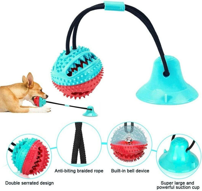 Suction Cup Teeth Cleaning Dog Toy - ExponentStore